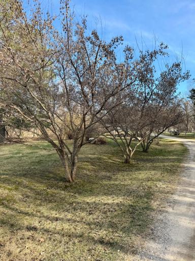 6693 County 38 NW, Walker, MN 56484