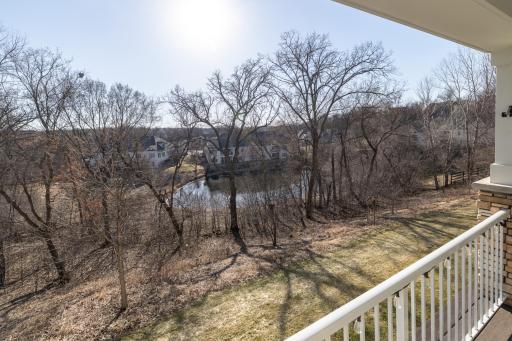 Greenspace and pond views from deck and patio