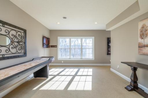 Sunlit amusement space great for entertaining