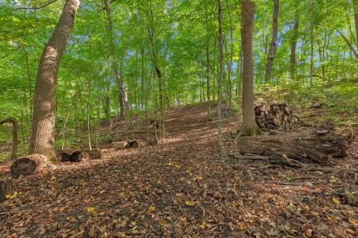 12814 Juniper Road, Saint Joseph, MN 56374