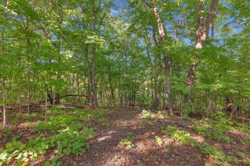 2.17 Acres with 280 Feet of Lake Frontage