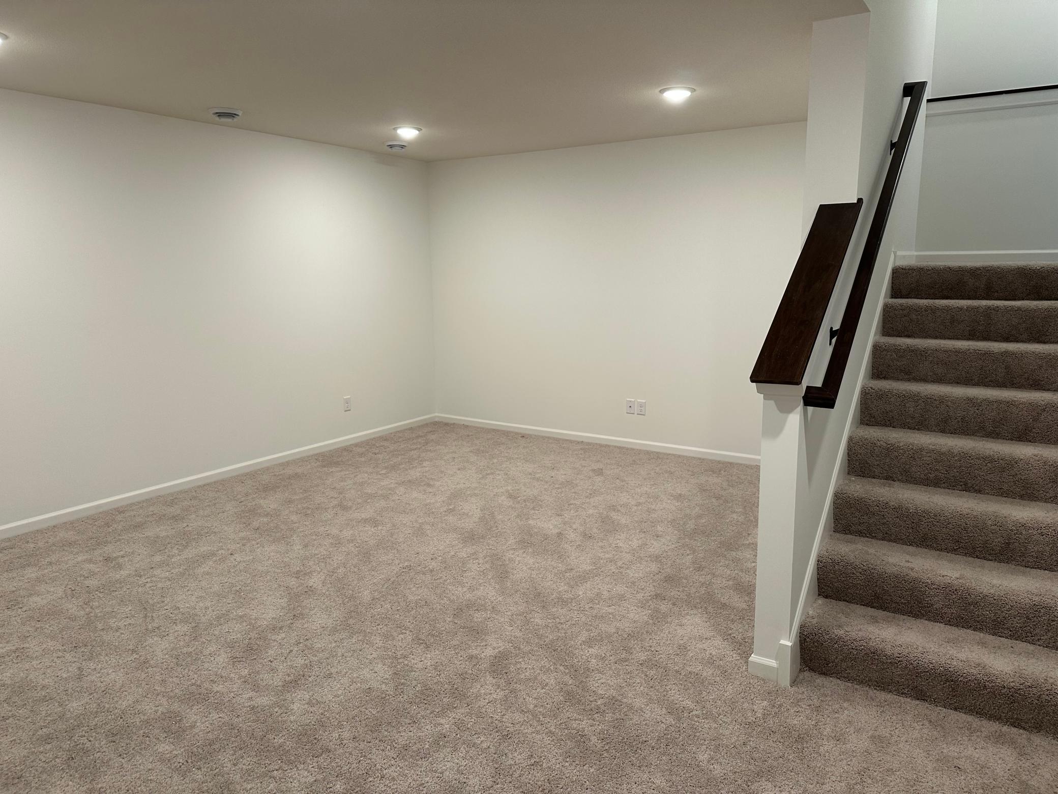 Finished Basement w bed, bath, game room and storage room