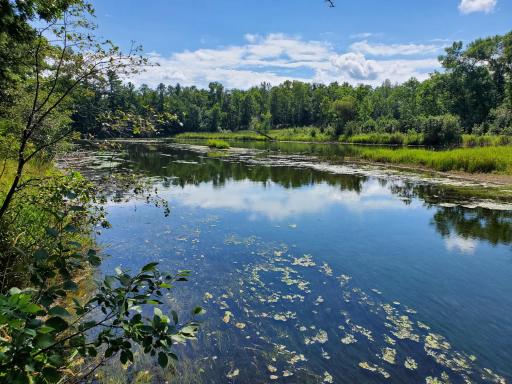 35461 Riverwood Court, 44, Crosslake, MN 56442