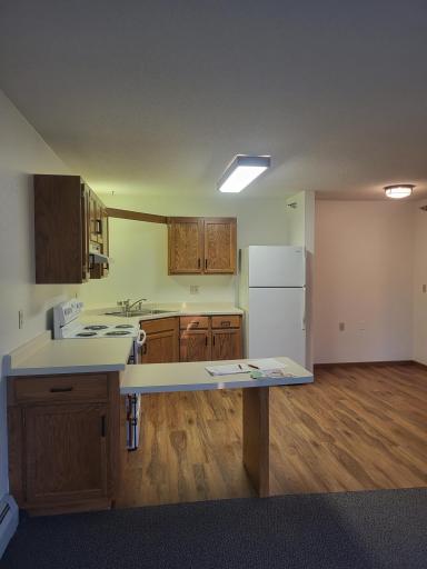 609 Main Street S, 7, Renville, MN 56284