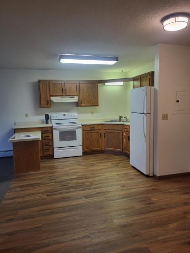 609 Main Street S, 7, Renville, MN 56284