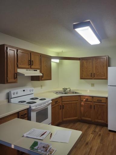 609 Main Street S, 7, Renville, MN 56284
