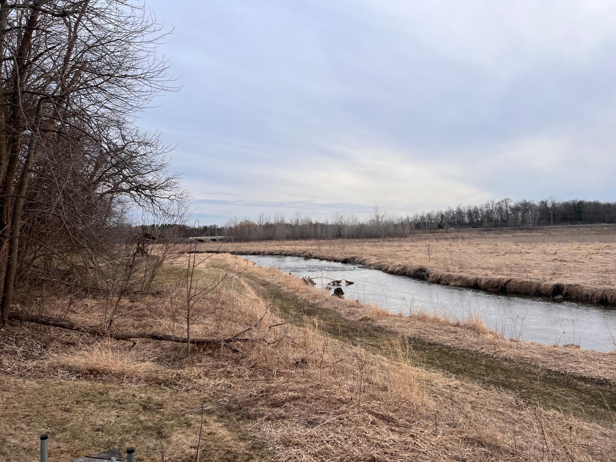 Walking path by Zumbro River