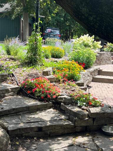 Landscaping in front