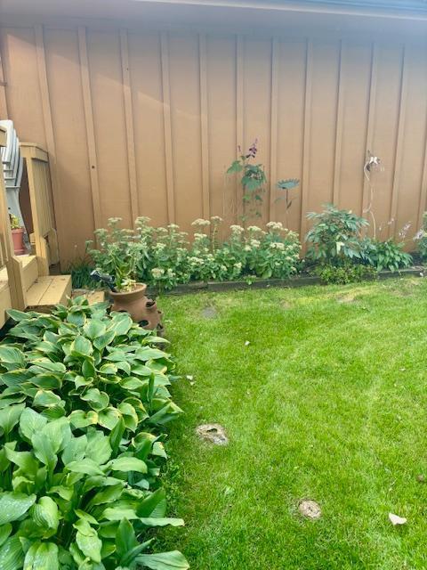 Beautiful perennials & landscaping!