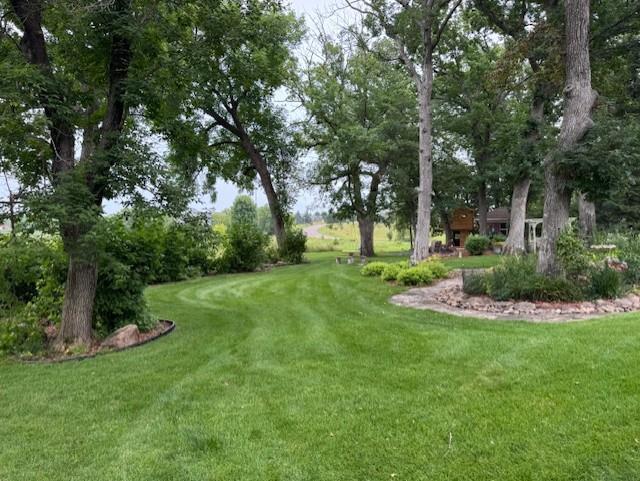 Peaceful, green and private backyard during the summer months.