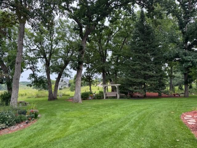 Peaceful, green and private backyard during the summer months.