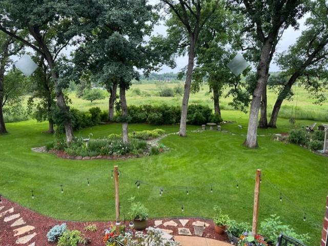 Professionally landscaped yard with expansive concrete patio and flat green grass- perfect for fun and games.