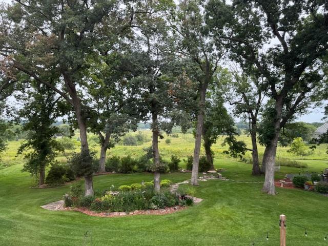 Expansive, tree-lined acreage offers a rare blend of luxury, privacy, and natural beauty.