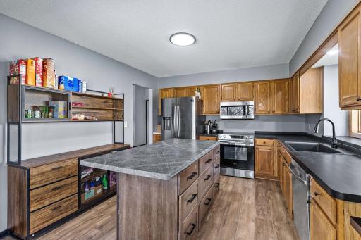 16408 Griffon Trail, Lakeville, MN 55044