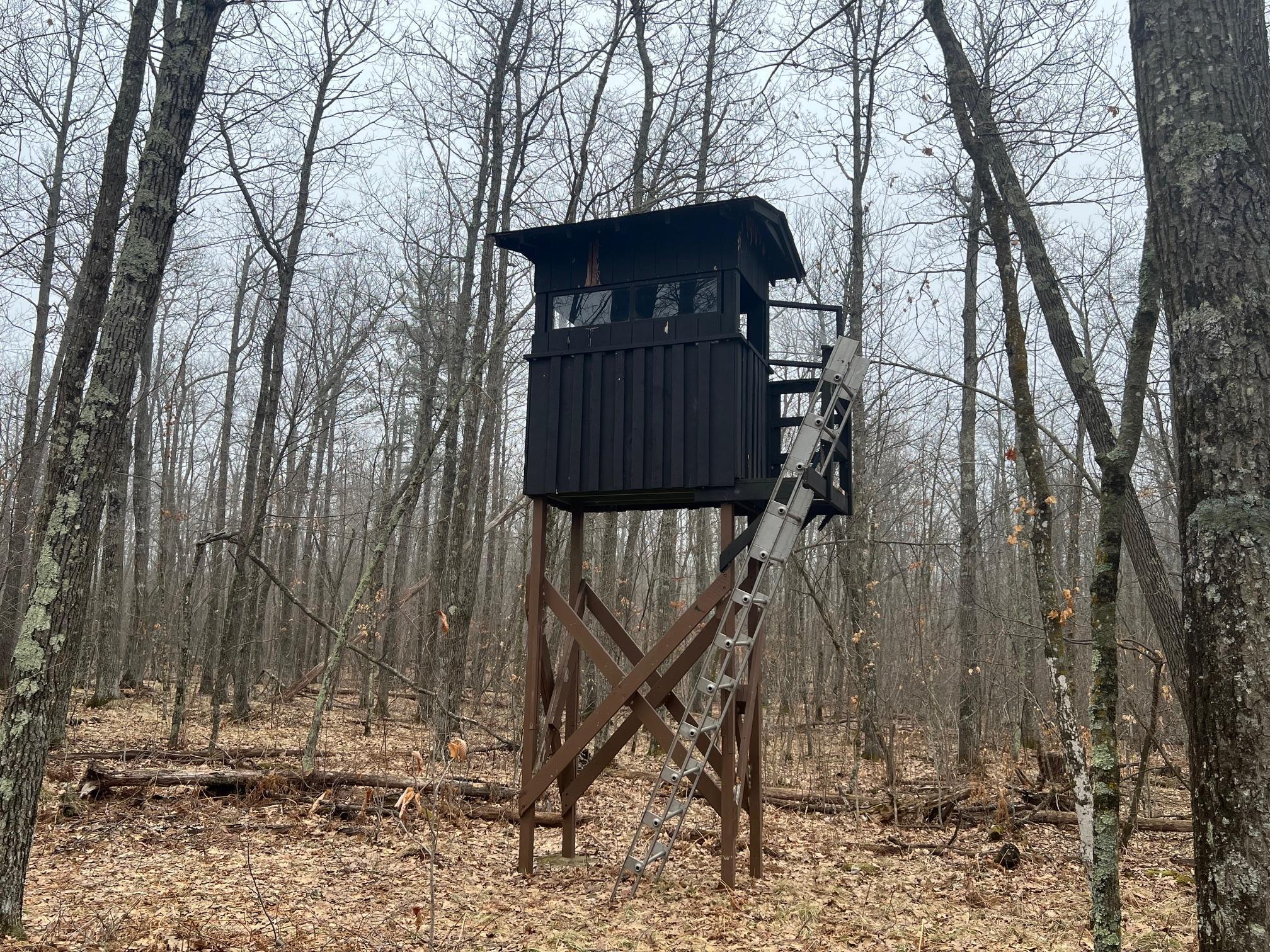 Enclosed hunting blind