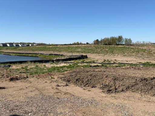 (Photo is of the actual backyard in progress.)