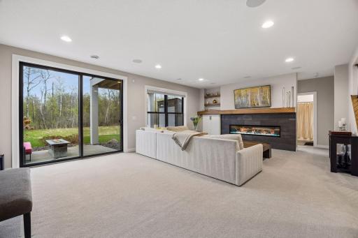 Lower Level Walkout--9FT ceilings & surround sound