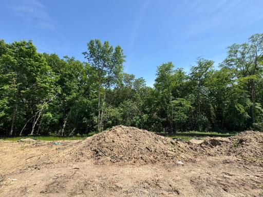 (Photo is of the actual backyard in progress.)