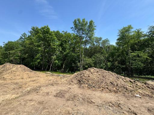 (Photo is of the actual backyard in progress.)