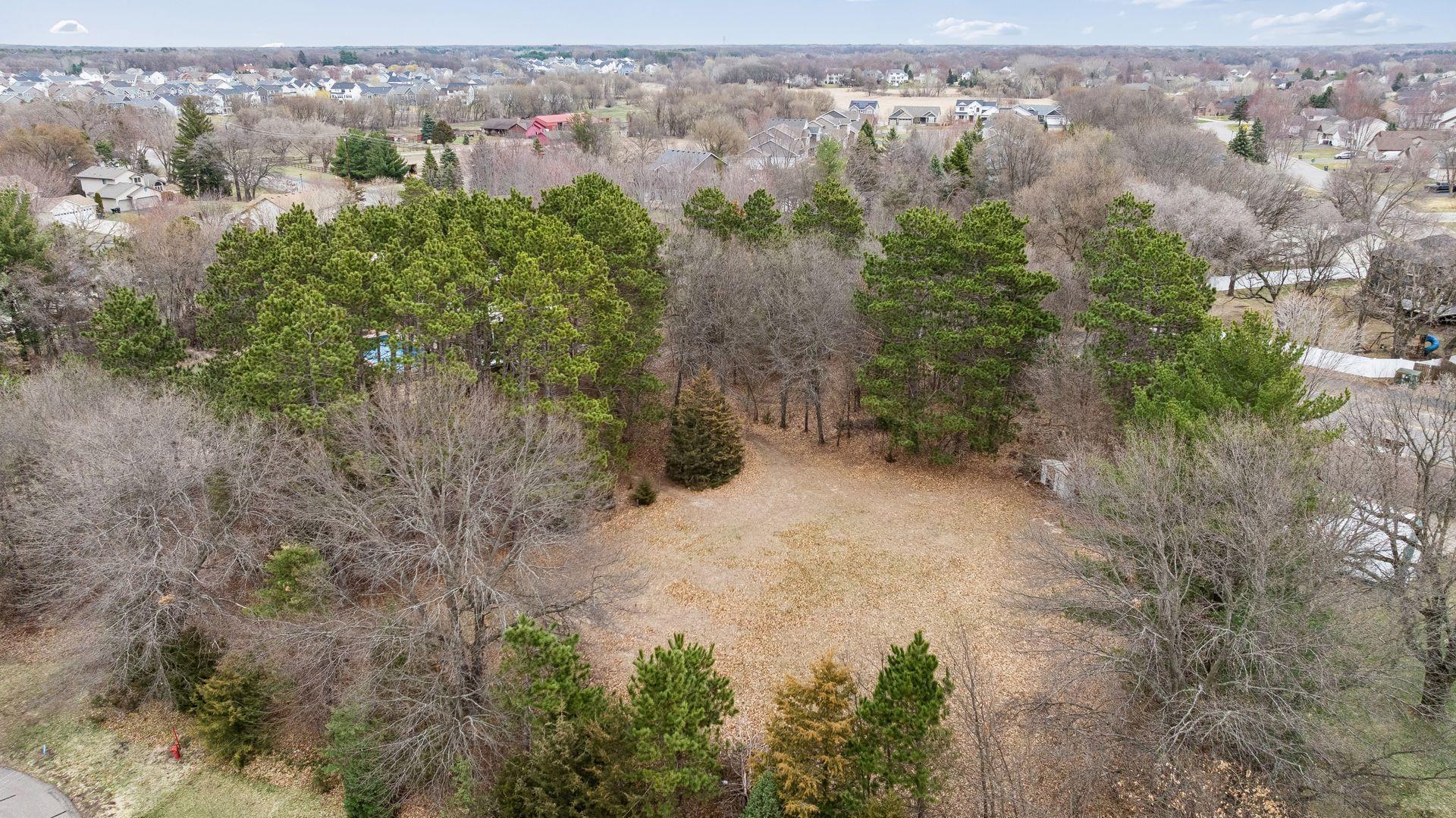 Open Spaces through the Woods