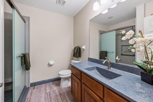 Newly remodeled lower level bath is gorgeous. Photo doesn't do this space justice! Shower niches and beautiful finishes.