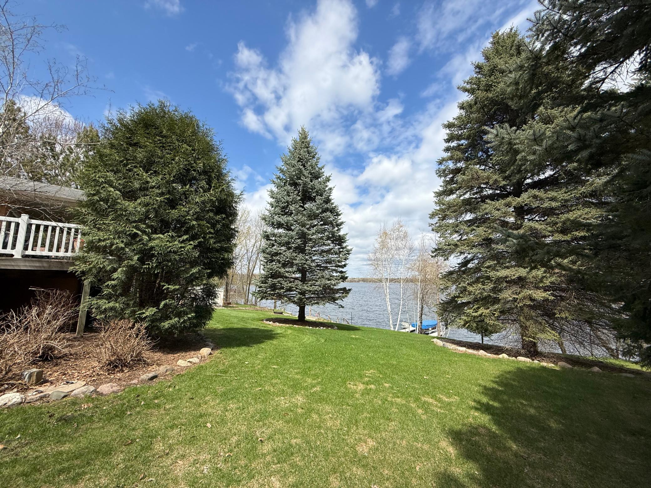Mature evergreen trees!