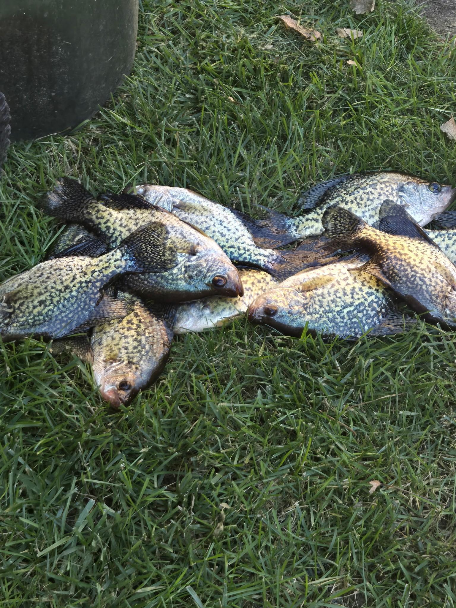 Great fishing!