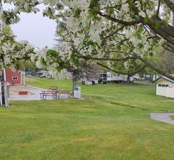 Keep watching - soon we'll see trees blooming, grass green and horseshoe tourneys starting up hopefully!
