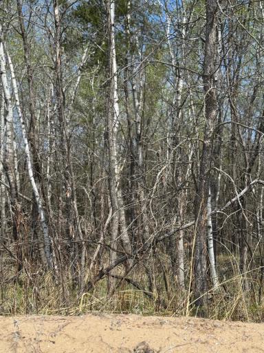 TBD Lakeview Lane, Merrifield, MN 56465