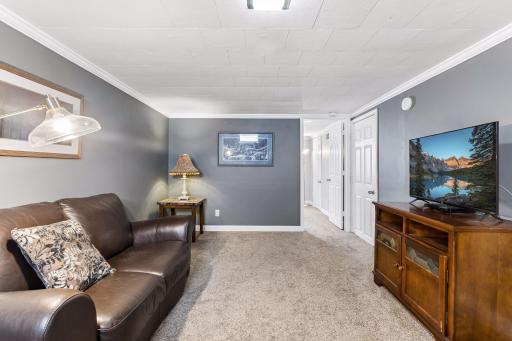 Lower level family room