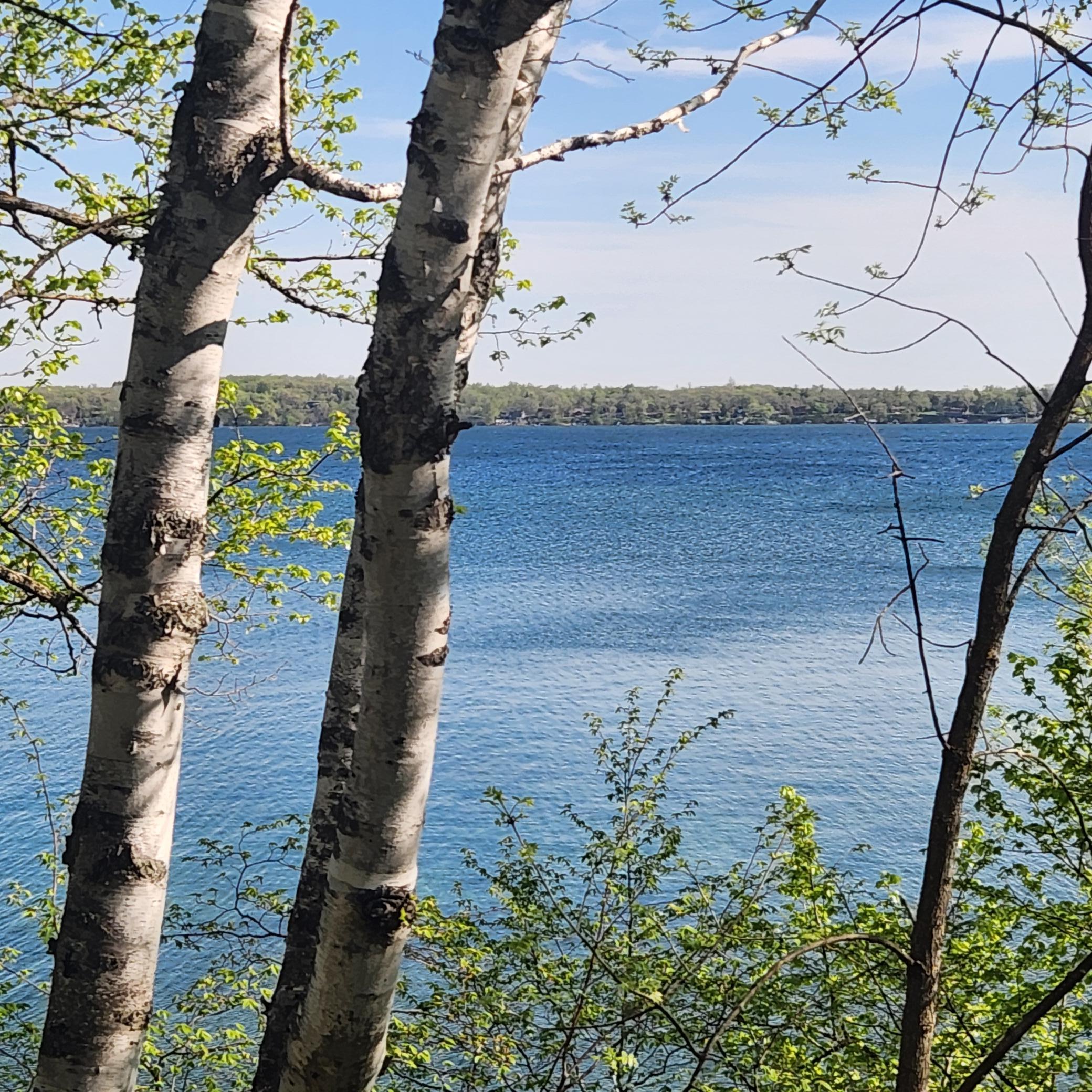Pelican Lake Views Facing North