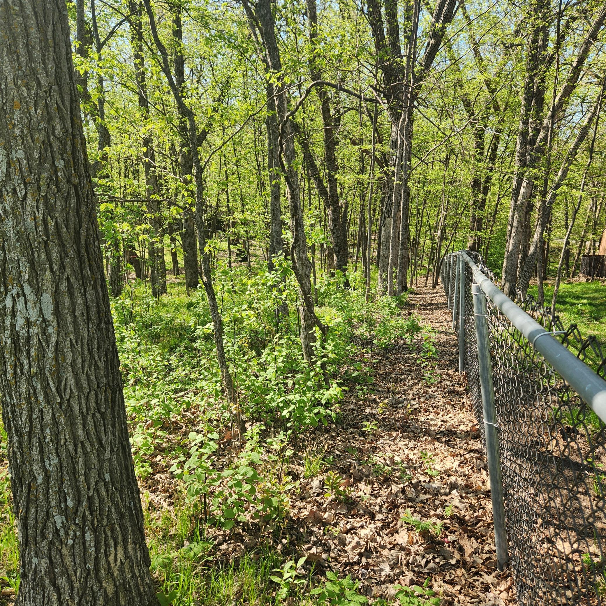 Quiet, Private Lake Lot on Pelican Lake