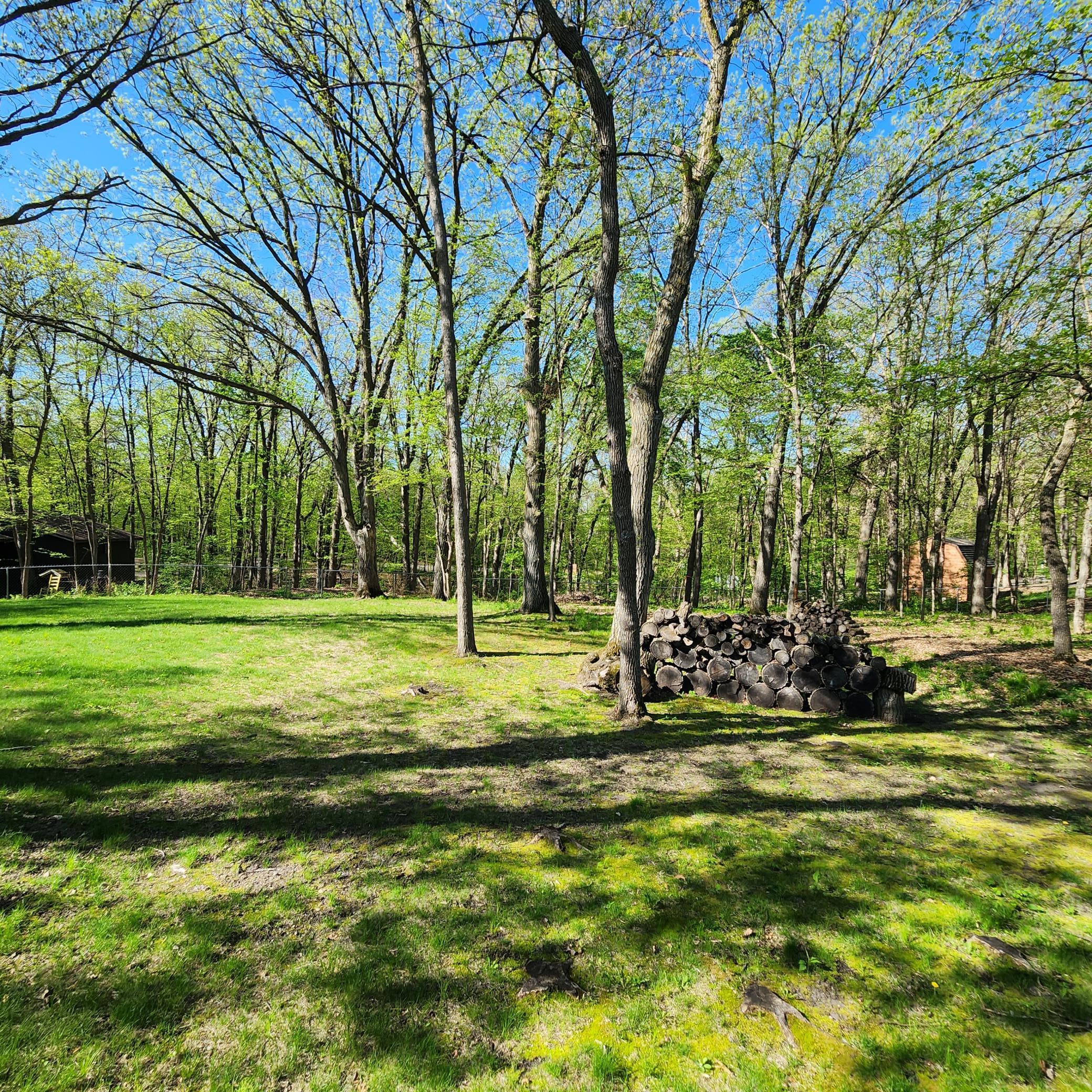 Mature Trees