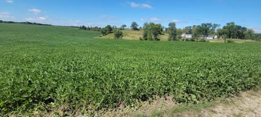 TBD County Highway 15, Detroit Lakes, MN 56501
