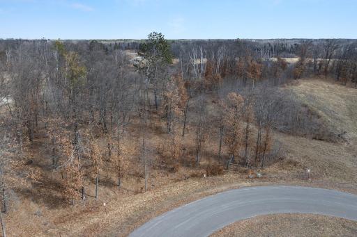 TBD Tom Lehman Drive, Brainerd, MN 56401