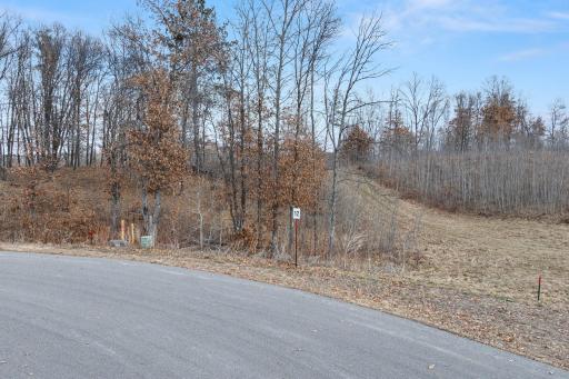 TBD Tom Lehman Drive, Brainerd, MN 56401