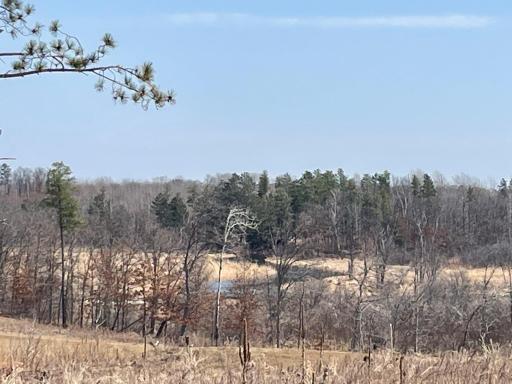 16434 Tom Lehman Drive, Brainerd, MN 56401