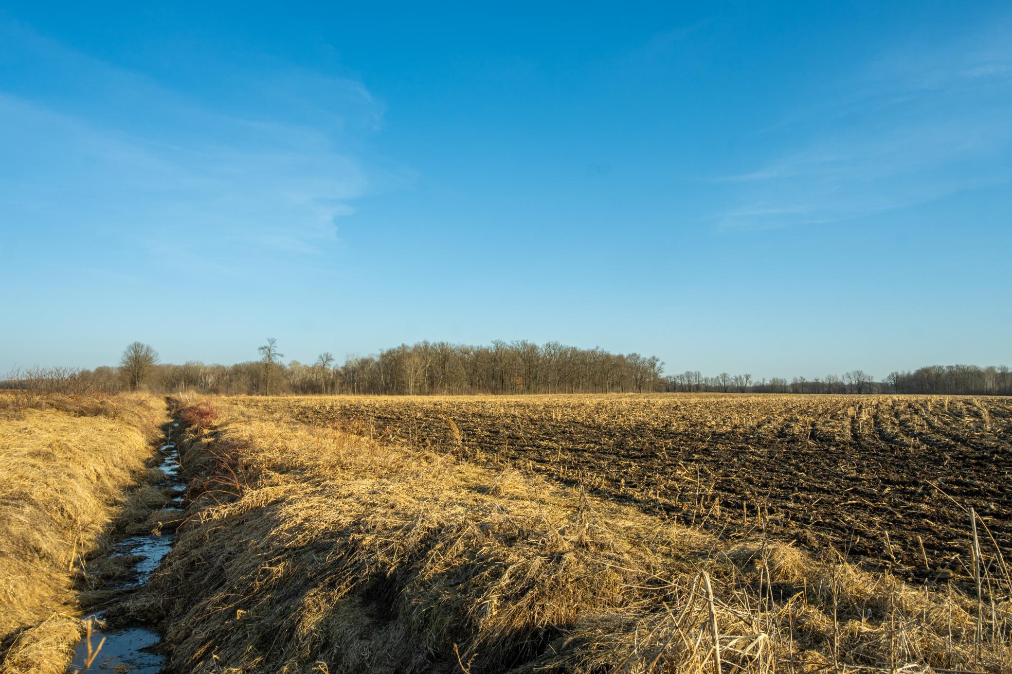 DSC_1567.jpg