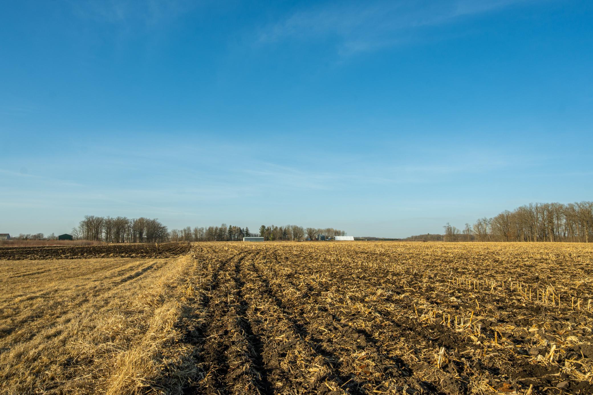 DSC_1554.jpg