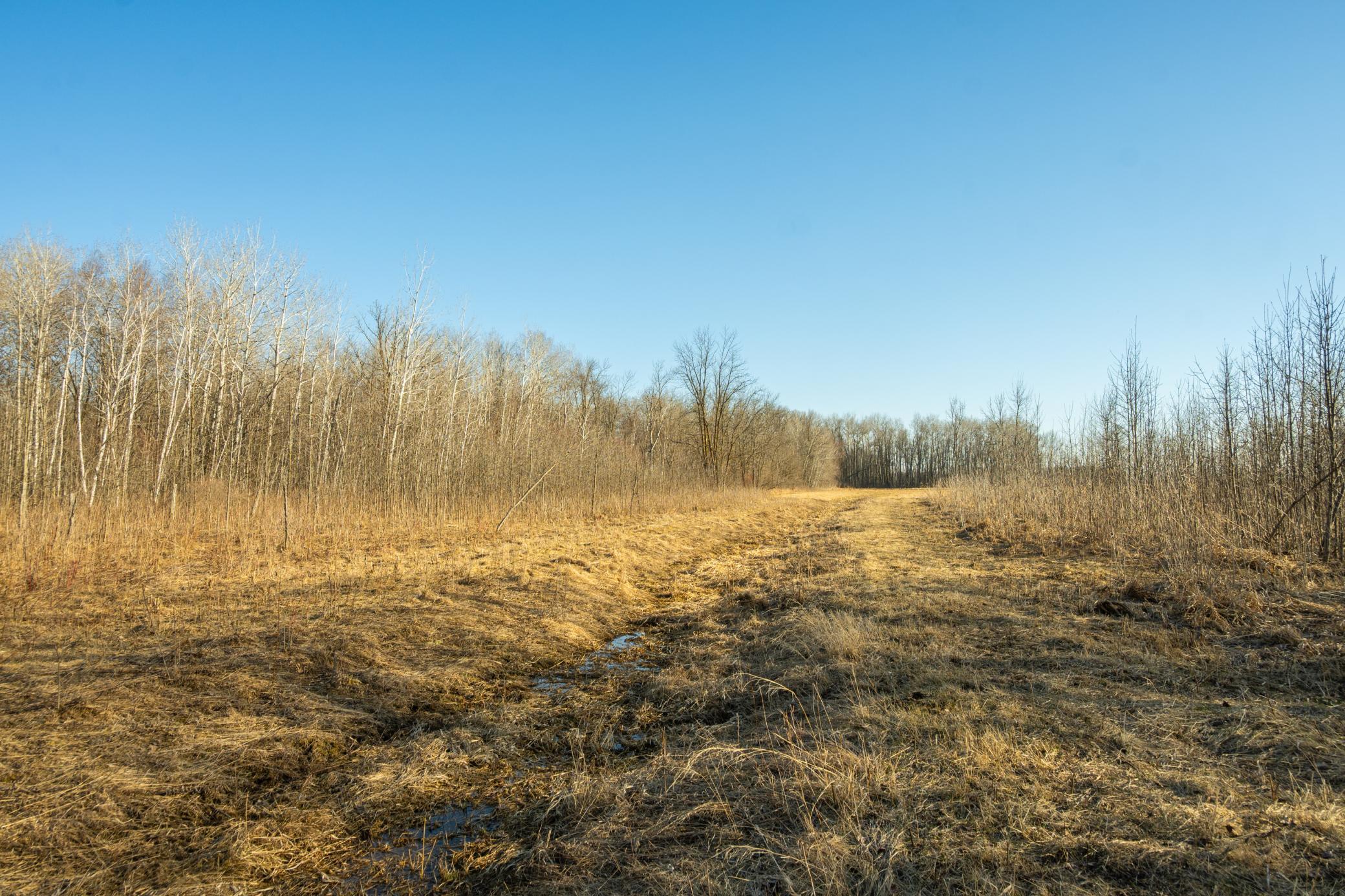 DSC_1527.jpg