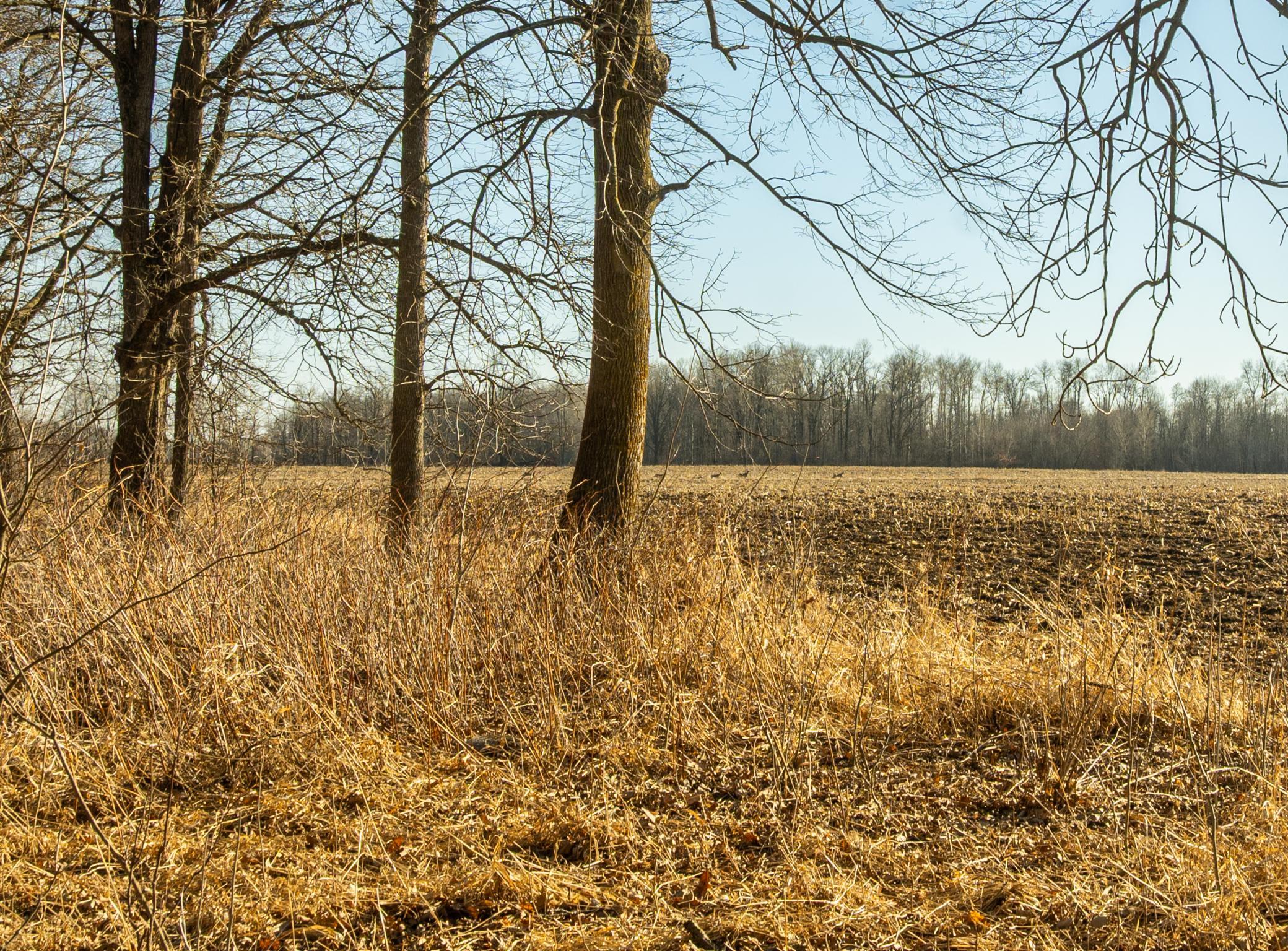 DSC_1504.jpg