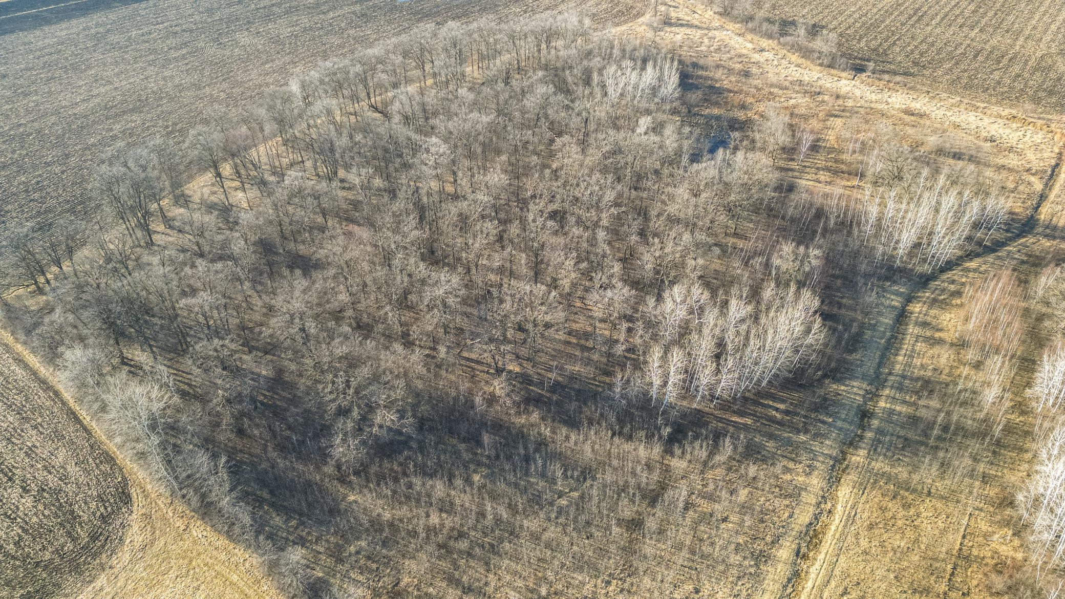 dji_fly_20260329_235814_458_1774891444295_photo.jpg