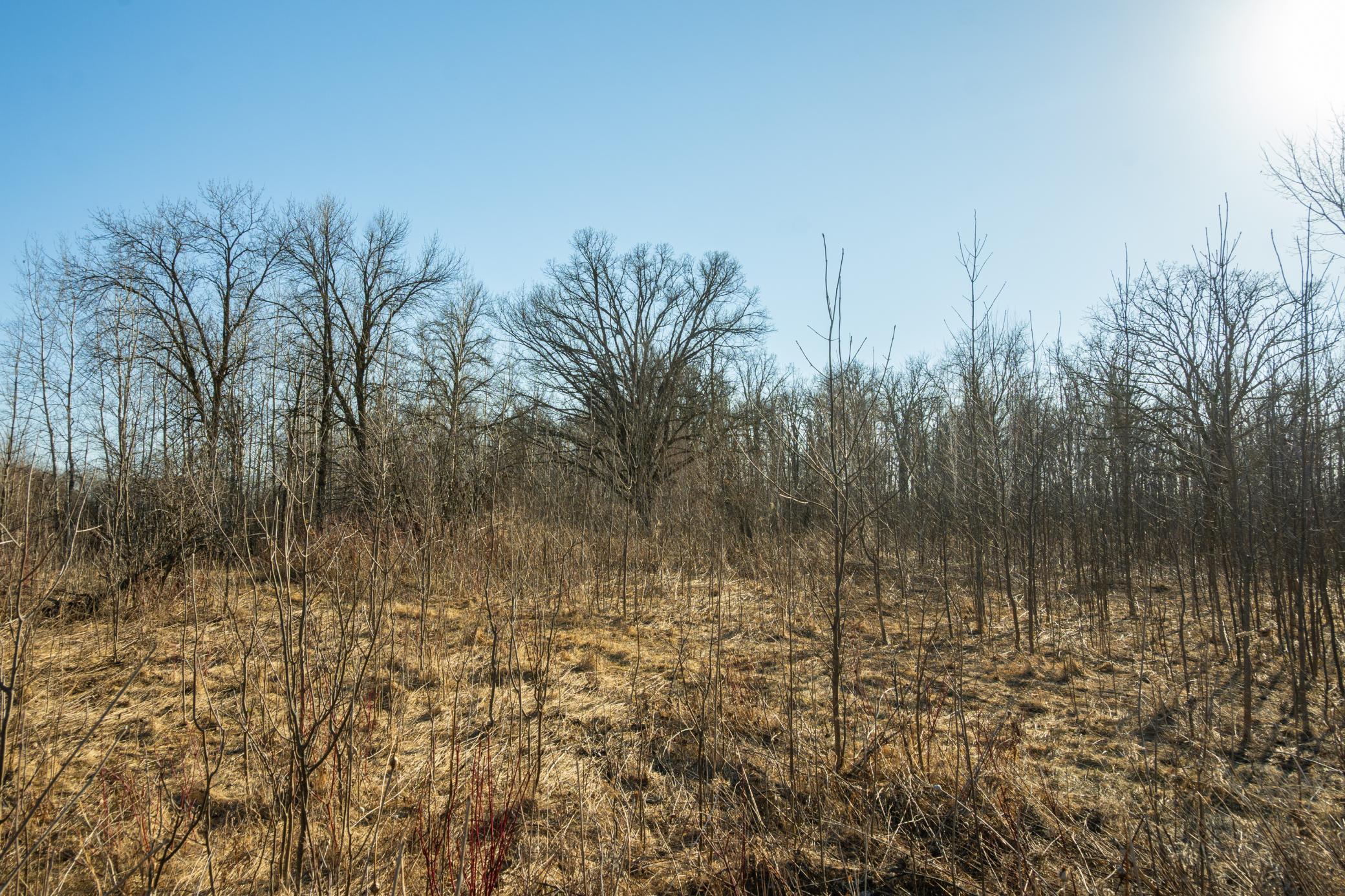 DSC_1481.jpg