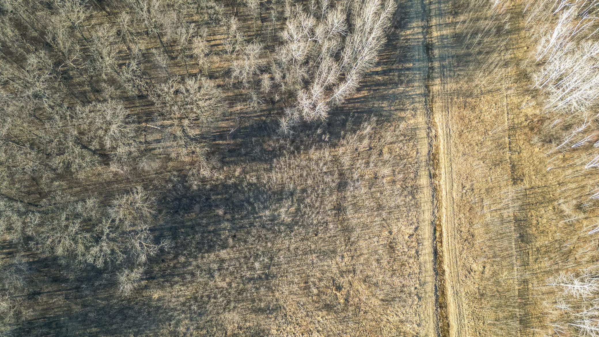 dji_fly_20260329_235836_459_1774891446362_photo.jpg