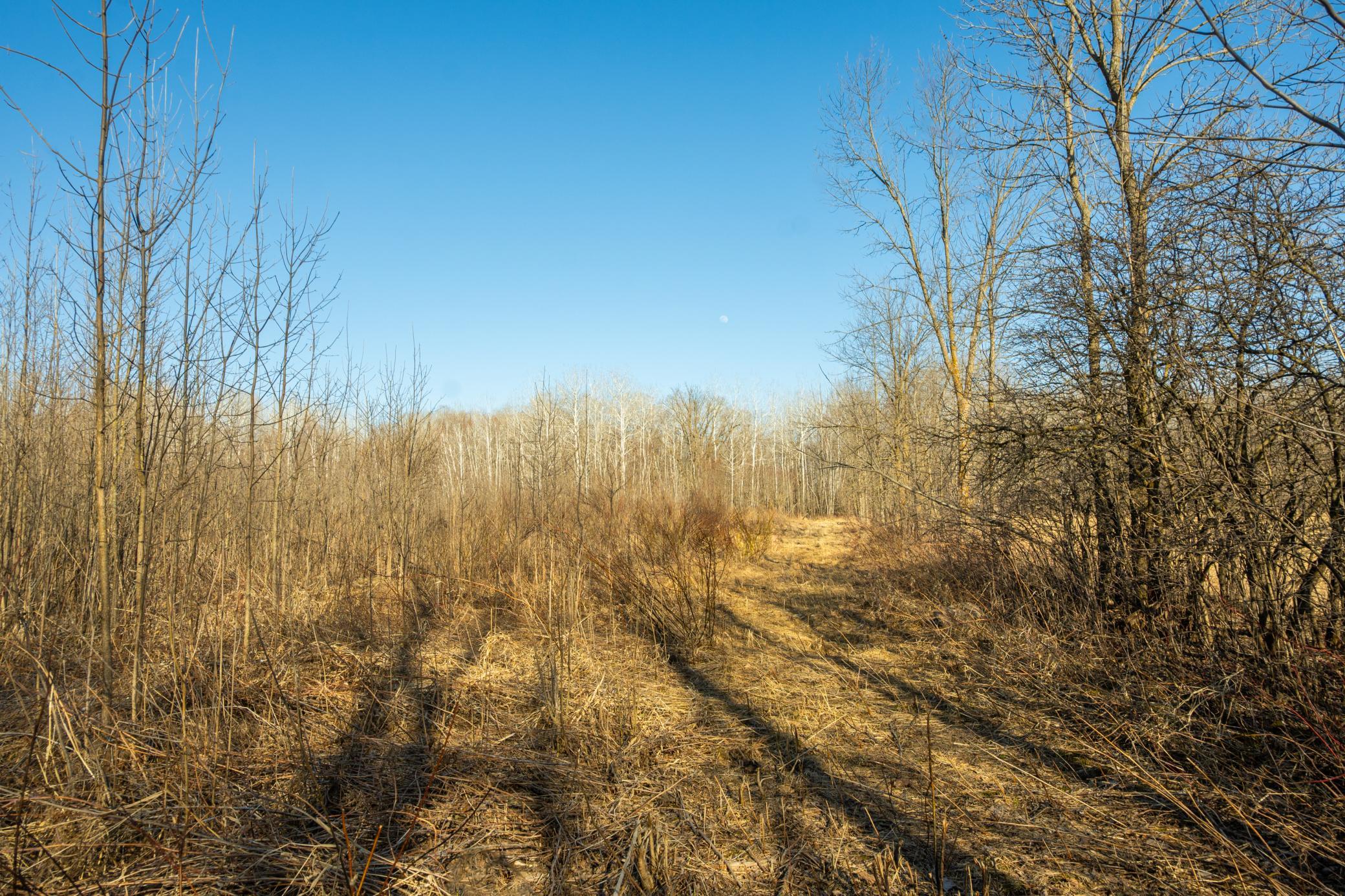 DSC_1519.jpg