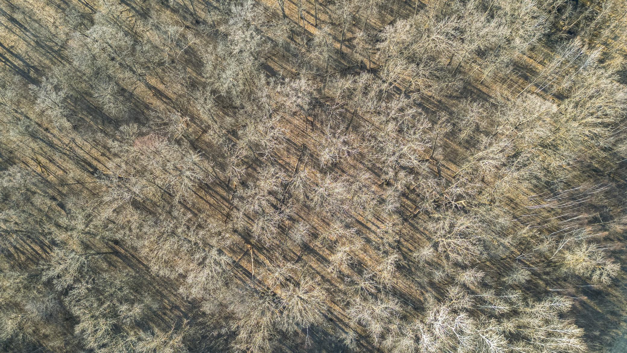dji_fly_20260329_235852_460_1774891446031_photo.jpg