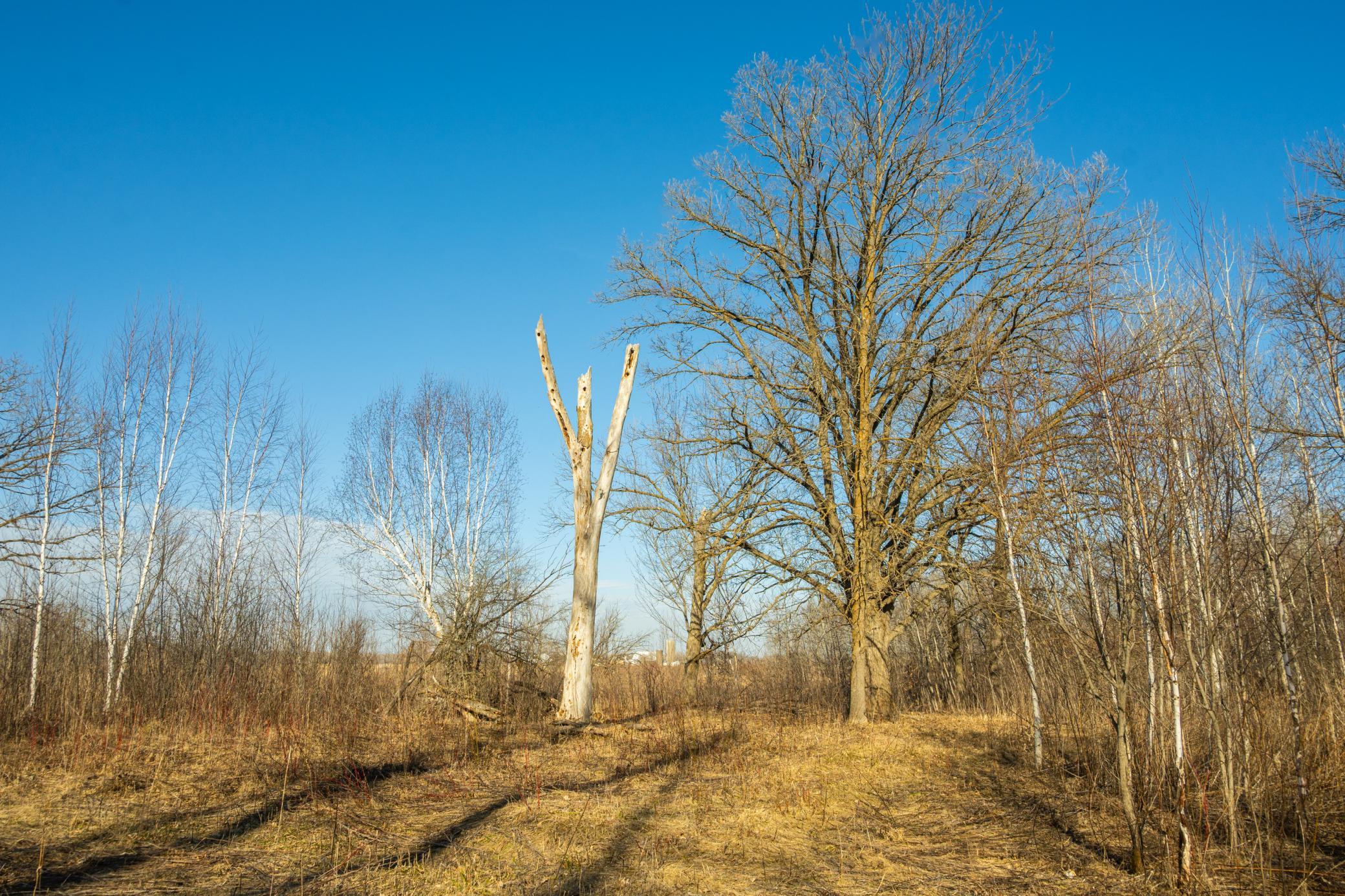 DSC_1487.jpg