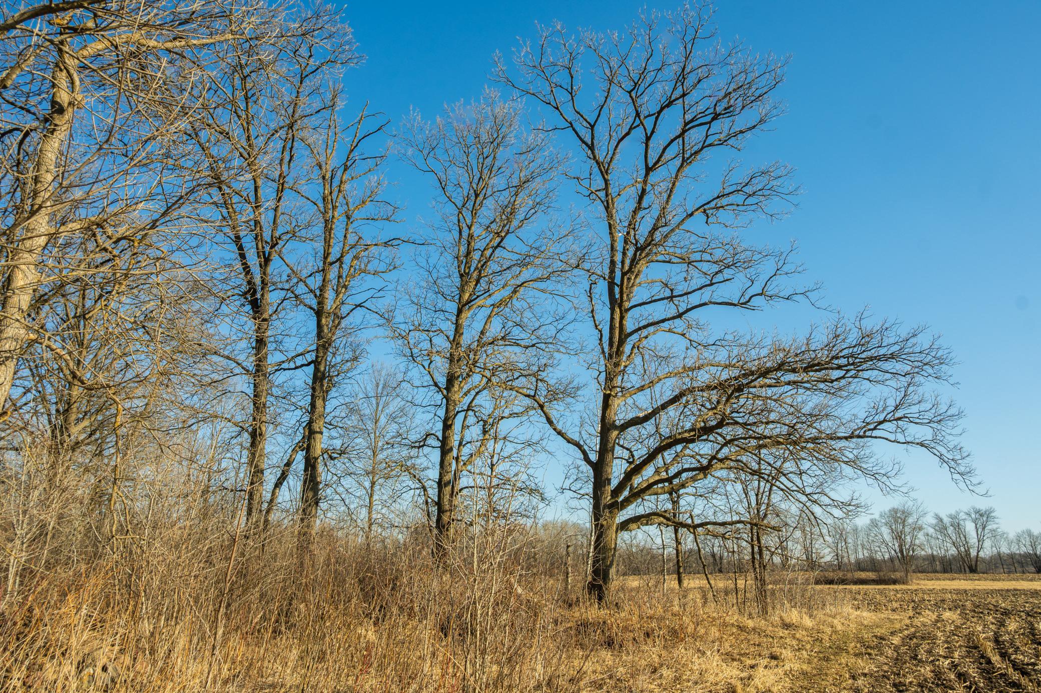 DSC_1512.jpg