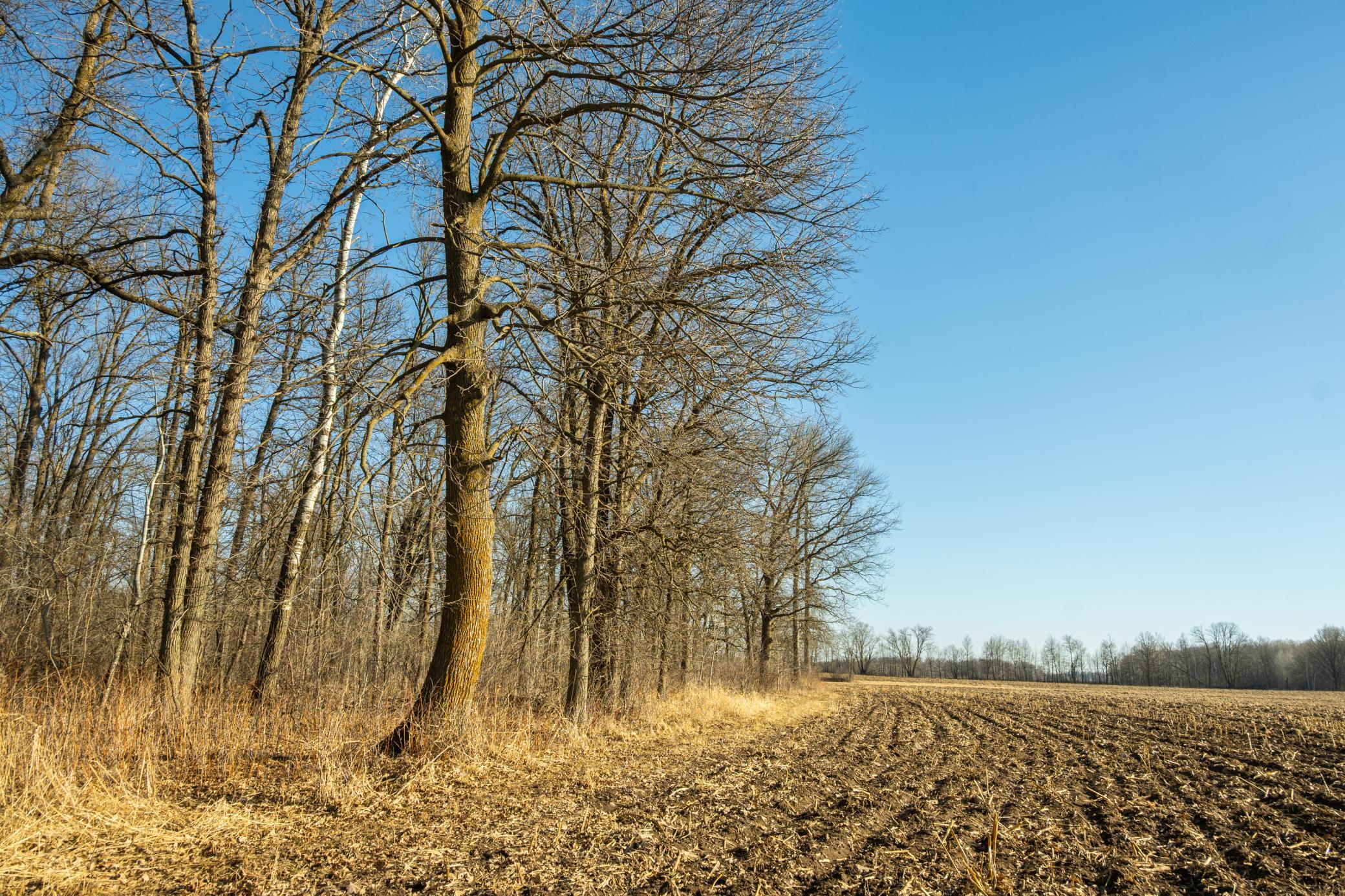 DSC_1506.jpg