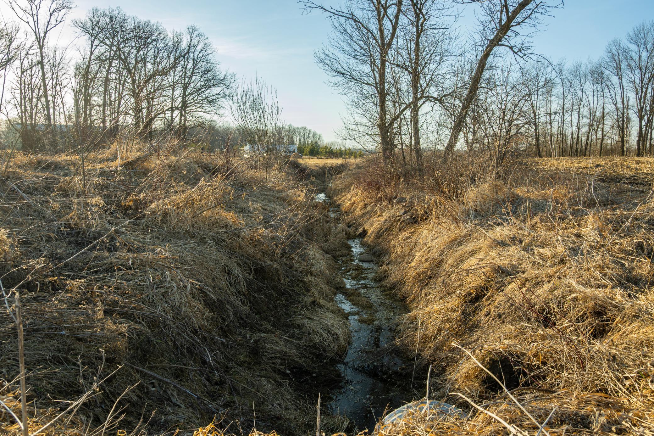 DSC_1565.jpg